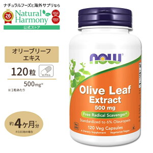 �y�|�C���gUP��2��20��-�z�I���[�u���[�t�G�L�X�i�I���E���y�C��6���j 500mg 120�� NOW Foods(�i�E�t�[�Y) Olive Leaf Extract 500 mg Vegetarian - 120 Vcaps �x�W�^���A���J�v�Z�� ���N�T�v�������g �h�{�⏕�H