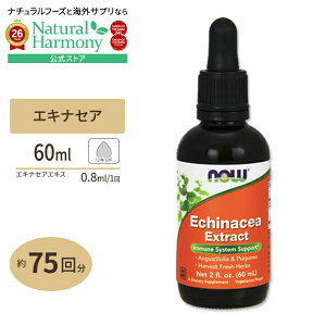 [�G�߂̕ς��ڂ̃��Y���Y��]�G�L�i�Z�A�G�L�X ���L�b�h 60ml NOW Foods(�i�E�t�[�Y) Echinacea Extract �A���� �n�[�u �����T�L�o�����M�N �v���v���A ���N�T�v�������g �h�{�⏕�H�i �C�O �A�����J