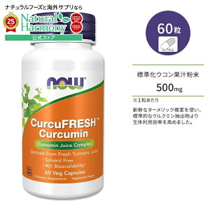 [̐Ȃ]iEt[Y NNtbV 500mg 60 xWJvZ NOW Foods CurcuFRESH Curcumin Tvg NN~ ER ^[bN s  K |tFm[ ߁X 
