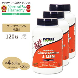 yXߋő勉MAX2540~OFFN[|z[3Zbg] AORT~igERVRjMSM 120 NOW Foods(iEt[Y) Glucosamine & MSM Vegetarian 120vcp 3bottles set xW^AJvZ NT