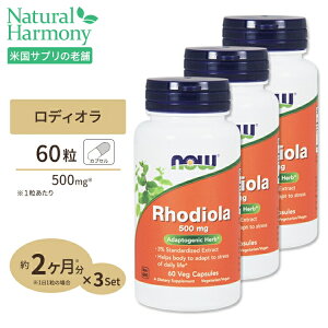 yX8000~ȏ1000~OFFz[撣肷Ă܂l̃T|[g]fBI [A 500mg 60 NOW Foods(iEt[Y) Rhodiola (Rhodiola rosea) 500mg-60Veg Capsules xW^AJvZ NTvg h