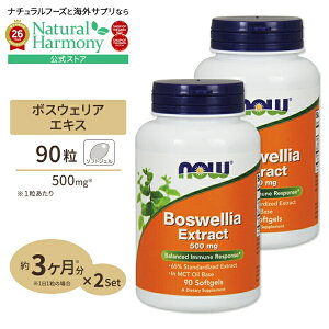 [2�Z�b�g] �{�X�E�F���A�G�L�X�i�{�X�E�F���A�Z���[�^�j 500mg 90�� NOW Foods(�i�E�t�[�Y) Boswellia Extract 500mg 90sg 2bottles set ���N�T�v�������g �h�{�⏕�H�i �C�O �A�����J
