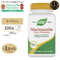 【ポイントUP★7日20時-18日】[パワフルに過ごしたい方に!]ネイチャーズウェイ ナイアシンアミド 500mg 1…