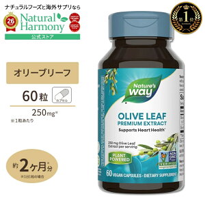 �l�C�`���[�Y�E�F�C �I���[�u���[�t�G�L�X 12%�I���E���y�C�� 60�� Nature's way Olive Leaf Standardized 12% oleuropein �T�v�� �|���t�F�m�[�� ���N�T�v�������g �h�{�⏕�H�i �C�O �A�����J