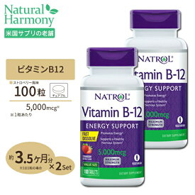 [2個セット] ナトロール ビタミンB-12 チュワブル 5000mcg 100粒 Natrol Vitamin B-12 Fast Dissolve Tablets Chewable ストロベリー味
