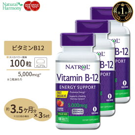 [3個セット] ナトロール ビタミンB-12 チュワブル 5000mcg 100粒 Natrol Vitamin B-12 Fast Dissolve Tablets Chewable ストロベリー味