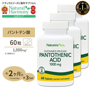 [���N���g�[�^���T�|�[�g!][3�Z�b�g] �l�C�`���[�Y�v���X �p���g�e���_ ( �r�^�~��B5 ) �^�C�������[�X 1000mg 60�� ��2������ �^�u���b�g NaturesPlus Pantothenicc Acid