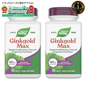 [�Ⴆ���������߂�����������!][2�Z�b�g] �l�C�`���[�Y�E�F�C �M���R�S�[���h �}�b�N�X 120mg 60�� �_�C�G�b�g ���N �C�`���E�t�G�L�X�z�� Ginkgold Max 120mg 60tablets