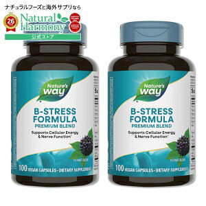 [2�Z�b�g] Nature's Way B-�X�g���X�t�H�[�~���� �G�]�E�R�M�G�L�X�z�� 100�� �r�[�K���J�v�Z�� �l�C�`���[�Y�E�F�C B-Stress Formula 100Vegan Capsules 2bottles set�y�����񂹏��i�z�y���킹�Ĕ�������
