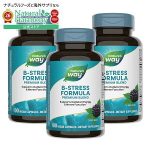 [3�Z�b�g] Nature's Way B-�X�g���X�t�H�[�~���� �G�]�E�R�M�G�L�X�z�� 100�� �r�[�K���J�v�Z�� �l�C�`���[�Y�E�F�C B-Stress Formula 100Vegan Capsules 3bottles set�y�����񂹏��i�z�y���킹�Ĕ�������