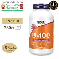 [健やかな毎日に欠かせない栄養素]ビタミンB-100 250粒 約8ヶ月分 NOW Foods (ナウフーズ)[お得サイズ] …