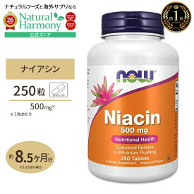 [パワフルに過ごしたい方に!]ナウフーズ ナイアシン サプリメント 500mg 250粒 NOW Foods Niacin タブレット Niacin 500 mg - 250 Tabs 健康サプリメント 栄養補助食品 海外 アメリカ