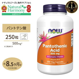 [健康をトータルサポート!]ナウフーズ パントテン酸 500mg 250粒 ベジカプセル NOW Foods Pantothenic Acid Veg Capsules ビタミンB5 水溶性ビタミン エネルギー 美容サポート ダイエットサポート