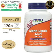 [太りやすくなったと感じたら]アルファリポ酸 250mg 120粒 NOW Foods(ナウフーズ) Alpha Lipoic Acid 250…