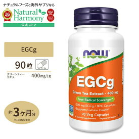 [お茶パワーで負けない体に!]EGCg（エピガロカテキンガレート） グリーンティーエキス 90粒 NOW Foods(ナウフーズ) EGCg Green Tea Extract - 90 Vcaps ベジタリアンカプセル 健康サプリメント 栄養補助食品 海外 アメリカ