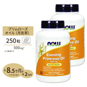 [�����̔��ƌ��N�̂��߂Ɂ�]NOW Foods �������I�C�� 500mg 250�� �\�t�g�W�F�� �i�E�t�[�Y Evening Primrose Oil 500mg 250softgels ���N�T�v�������g �h�{�⏕�H�i �C�O �A�����J
