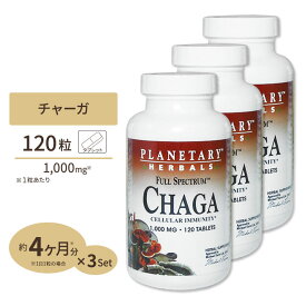 [3個セット] プラネタリーハーバルズ チャーガ 1000mg 120粒 タブレット Planetary Herbals キノコ 茸 カバノアナアタケ オーガニック ヘルスケア