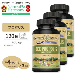 [�G�߂̕ω��ɕ��������Ȃ�����!][3�Z�b�g] �v���~�A���� �r�[�v���|���X (2�{�Z�k) 650mg 120�� �J�v�Z�� Premier One ���I �t���{�m�C�h �r�^�~��P ���N�H�i �T�v�������g Bee Propolis, Capsule 650mg 120