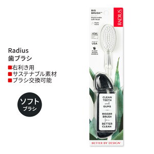 yő1000~OFFN[|zy5ȏ̃J[/EE IׂzfBEX rbO uV Radius Big Brush Right Hand Soda Pop Eco-Grind uV \tg
