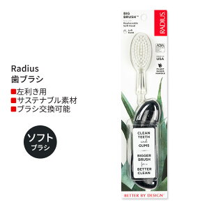 �y5��ȏ�̃J���[/�E�����E������ ����I�ׂ�z���f�B�E�X �r�b�O �u���V Radius Big Brush Right Hand Soda Pop Eco-Grind ���u���V �\�t�g��