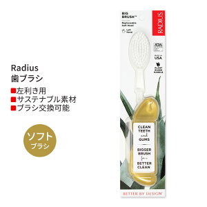 �y5��ȏ�̃J���[/�E�����E������ ����I�ׂ�z���f�B�E�X �r�b�O �u���V Radius Big Brush Right Hand Soda Pop Eco-Grind ���u���V �\�t�g��