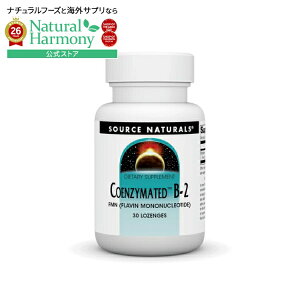 �\�[�X�i�`�������Y �R�G���U�C���C�e�b�h B-2 25mg �y�p�[�~���g�� 30���[���W Source Naturals Coenzymated�EB-2 25 mg Peppermint 30 Lozenge �y�����񂹏��i�z�y���킹�Ĕ��������z