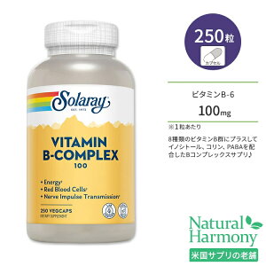 yő1000~OFFN[|z[₩ȖɌȂh{f]\[ r^~BRvbNX 100mg xW^uJvZ 250 Solaray Vitamin B-Complex 100 VegetableCapsule r^~BQ xW^AJ