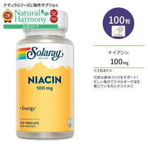 [�p���t���ɉ߂�����������!]�\�����[ �i�C�A�V�� 100mg �x�W�^�u���J�v�Z�� 100�� Solaray Niacin 100mg �r�^�~��B3 ���N�T�v�������g �h�{�⏕�H�i �C�O �A�����J