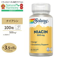 [パワフルに過ごしたい方に!]ソラレー ナイアシン サプリメント 500mg 100粒 Solaray Niacin ビタミンB3 …