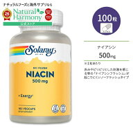[パワフルに過ごしたい方に!]ソラレー ノーフラッシュ ナイアシン 500mg ベジタブルカプセル 100粒 Solar…