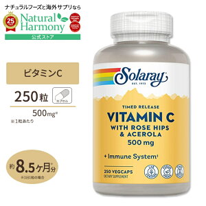 yX8000~ȏ1000~OFFz[LCƌCT|[gI]\[ ^C[X r^~C 500mg xW^uJvZ 250 Solaray Timed Release Vitamin C VegCap̒ Ǘ N b ΍ K
