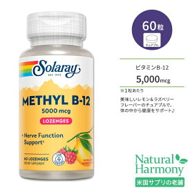 ソラレー メチル ビタミン B-12 5000mcg 60粒 チュアブル レモンラズベリーフレーバー Solaray Methyl B-12 Lemon-Raspberry 60 Lozenges サプリメント ビタミンB B12 レモン ラズベリー 美味しい