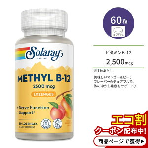 [�������猒�N�ȑ̂Â�����T�|�[�g]�\�����[ ���`�� �r�^�~�� B-12 2500mcg 60�� �`���A�u�� �}���S�[�s�[�`�t���[�o�[ Solaray Methyl B-12 Mango Peach 60 Lozenges �T�v�������g �r�^�~��B B12 �}���S�[ �s