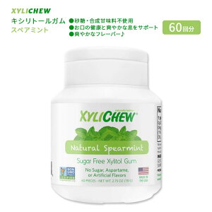 yX8000~ȏ1000~OFFz[^C]LV`[ LVg[K XyA~g 60(78g) XyliChew Gum Spearmint Jar I[PA  Ί N K G`Pbg Wy