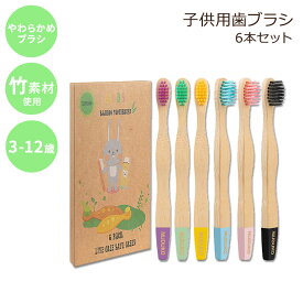 ヌドゥコ 子供用 竹 歯ブラシ ソフト エコ 6本セット 3歳以上 NUDUKO Eco Friendly Natural Bamboo Toothbrush