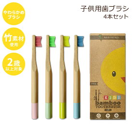 エコフレンジー バンブー 歯ブラシ 子供用 ソフト 4本セット 2歳以上 EcoFrenzy Kids Bamboo Toothbrush