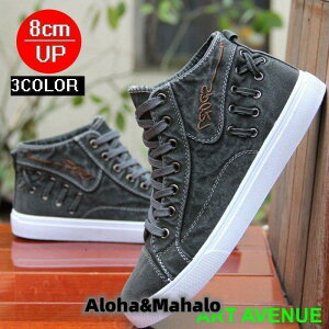 V[NbgV[Y  gAbv8cmij up8cm wȂ Y Xj[J[ V[NbgV[Y Cq[ K JWAV[Y