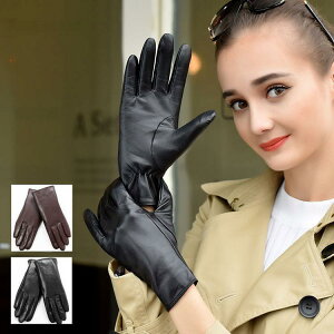 {v܁@fB[X@O[u@U[O[u@U[܁@glove  oCN܁@oCNO[u@[VOO[u