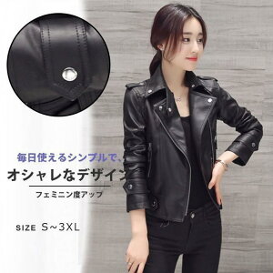 PUU[ fB[X R[g tFCNU[ u] V[g Vv n  OJ  ʋ ʊw   傫TCY