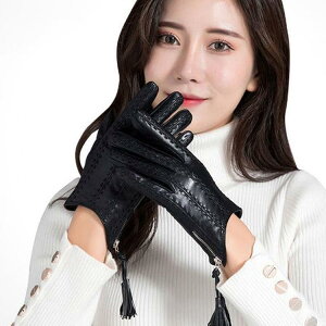rv {v܁@fB[X@O[u@U[O[u@U[ X}zΉ\ glove@oCN܁@oCNO[u@[VOO[u