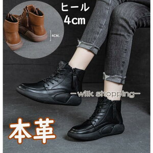 u[c V[gu[c fB[X ₷ [XAbv {v  {A N TChSA  v 傫TCY _炩 Ȃ