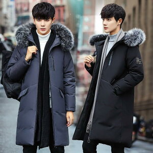 _EWPbg Y _ER[g ~p t@[@t[ht OR[g Wp[ _E y  h ۉ 傫TCY am