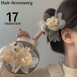 oXNbv wANbv fB[X wAANZT[   wbhhX RT[W 傫 {  t[