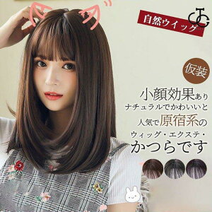 EBbO Z~O ~fBA  tEBbO RECbO fB[X Xg[g RXvϑ  bV p[eB[ J[