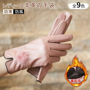 [g t@[ rє100 Ԃ Vv H~p hp  fB[X { {v h U[ p ޏ  N Mwl