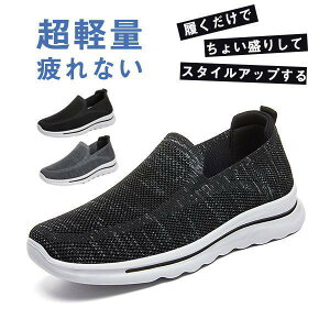 Xj[J[ Y Xb| EH[LOV[Y jOV[Y ʋC y ^C X|[c ʊw ʋ ԉ^] tďH  hV̓