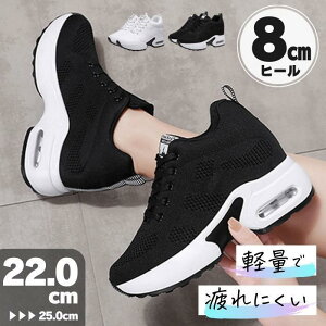Xj[J[ fB[X 8cm Cq[ Xj[J[  v[g EH[LOV[Y C r V[NbgV[Y y   r 
