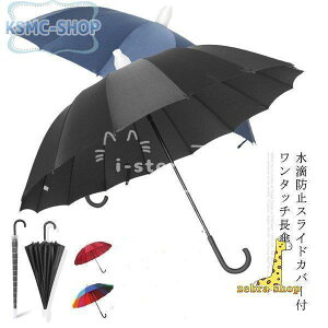 ^ a120cm P 傫TCY P 2-3l Jo[t P hH ΍ JP ^b`  WvP v 16{ 唻