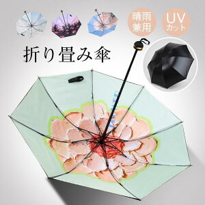 ܂肽ݎP P P ՔM Ռ JP y [WTCY Jp UVJbg    ЂP xn ~J΍ 