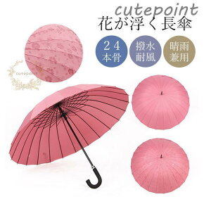 P fB[X P Ԃ 24{ Vv  jp ܂ɂ 唻 Mtg v[g ̓ v`Mtg ʋ ʊw